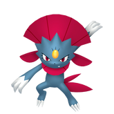 Weavile in Legends of Arceus
